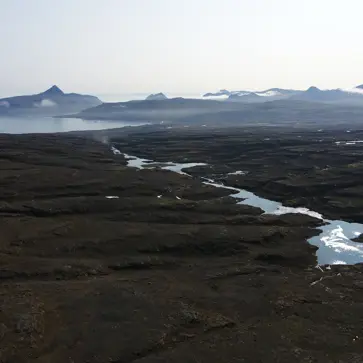 Dji 0031